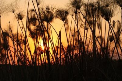 Okavango Delta, Botswana