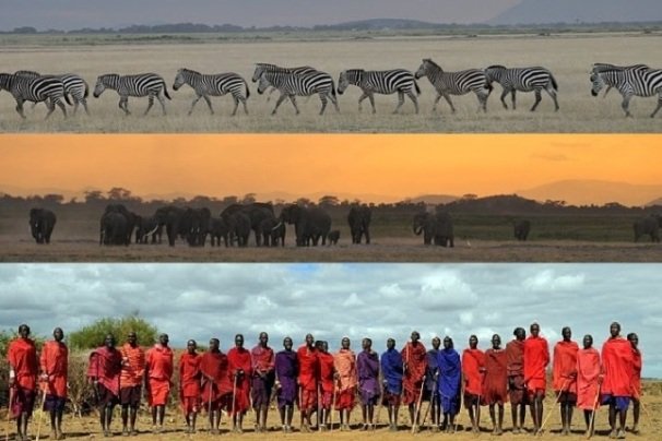 Zebras, Elephants and the Masaai people of Kenya
